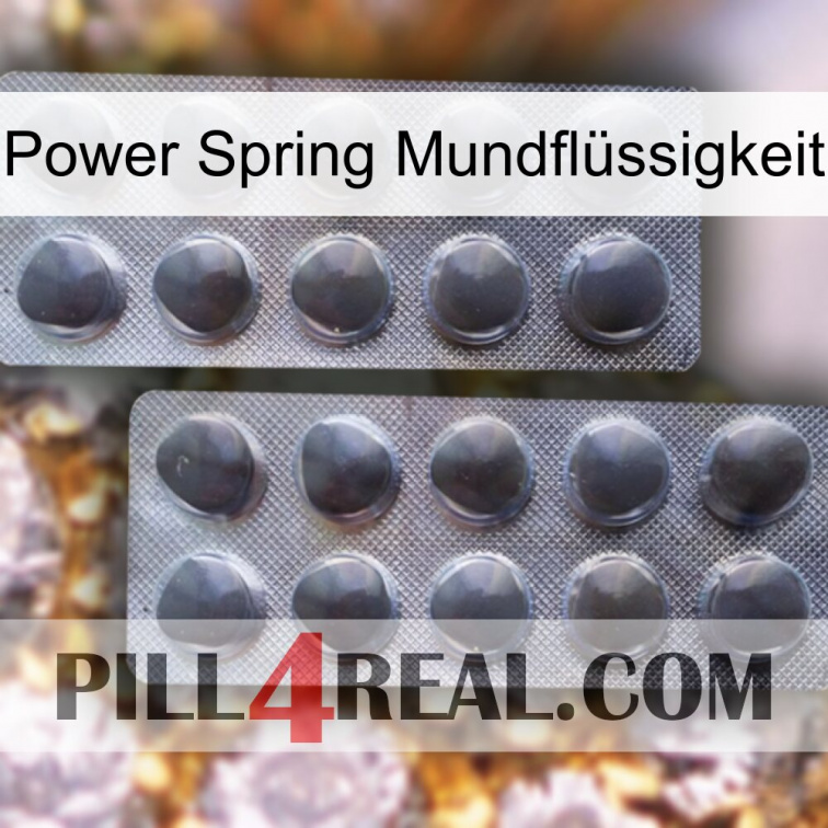 Power Spring Mundflüssigkeit 31